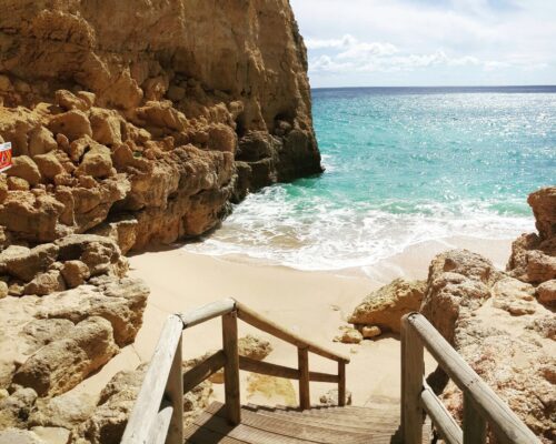 IMG_0547