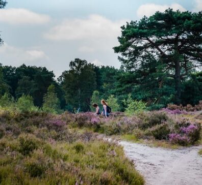 Nationaalparkregio De Meinweg