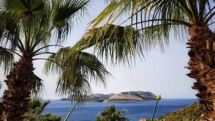 7908b006-9941-49f2-b9fc-a742caf0e7c8