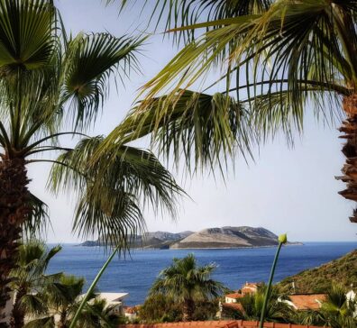 7908b006-9941-49f2-b9fc-a742caf0e7c8